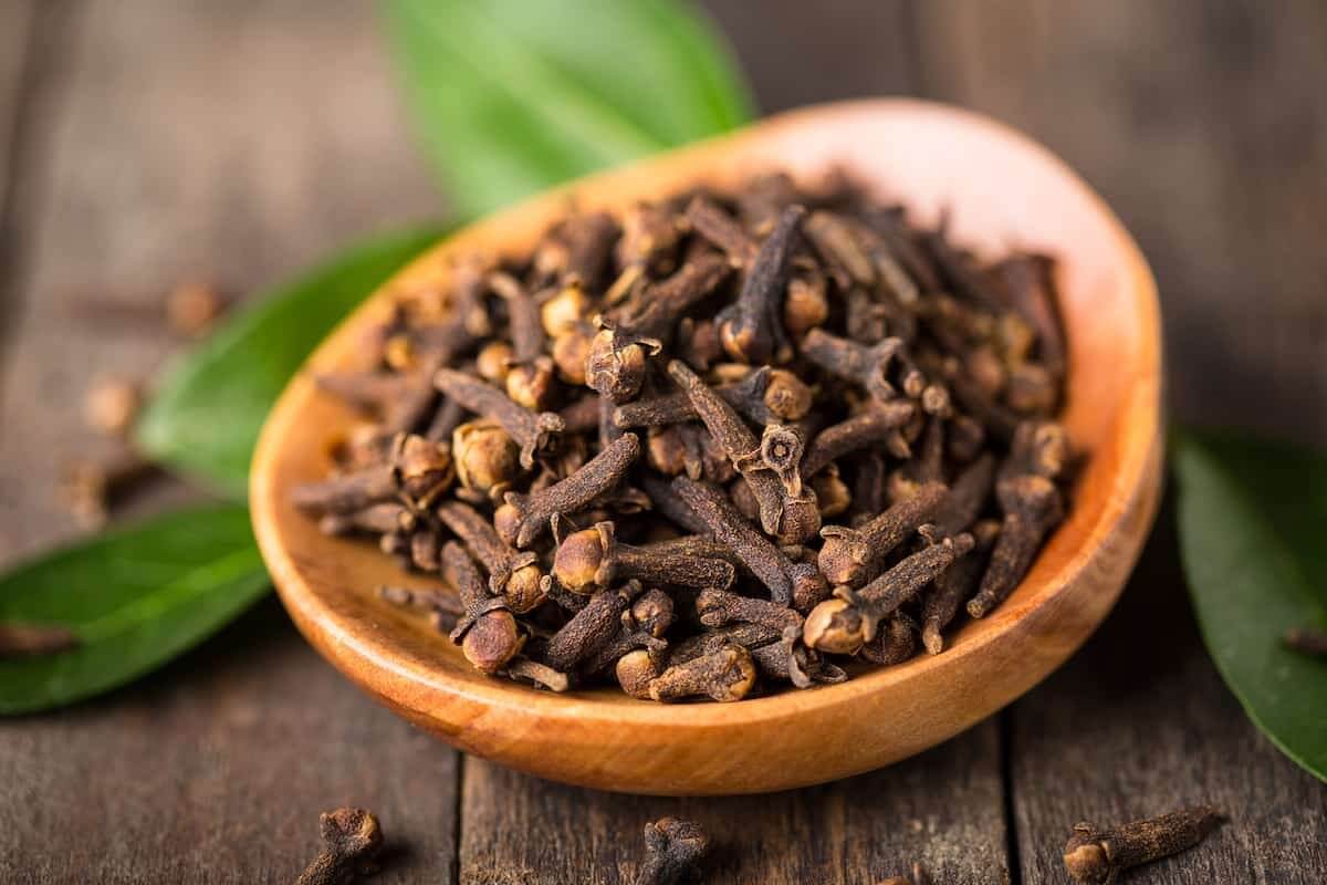 میخک و خواص شگفت‌انگیز آن