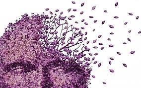 پیاده روی برای جلوگیری از زوال عقل