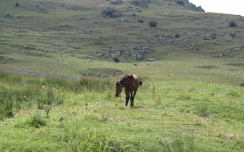 روستای آتشگاه