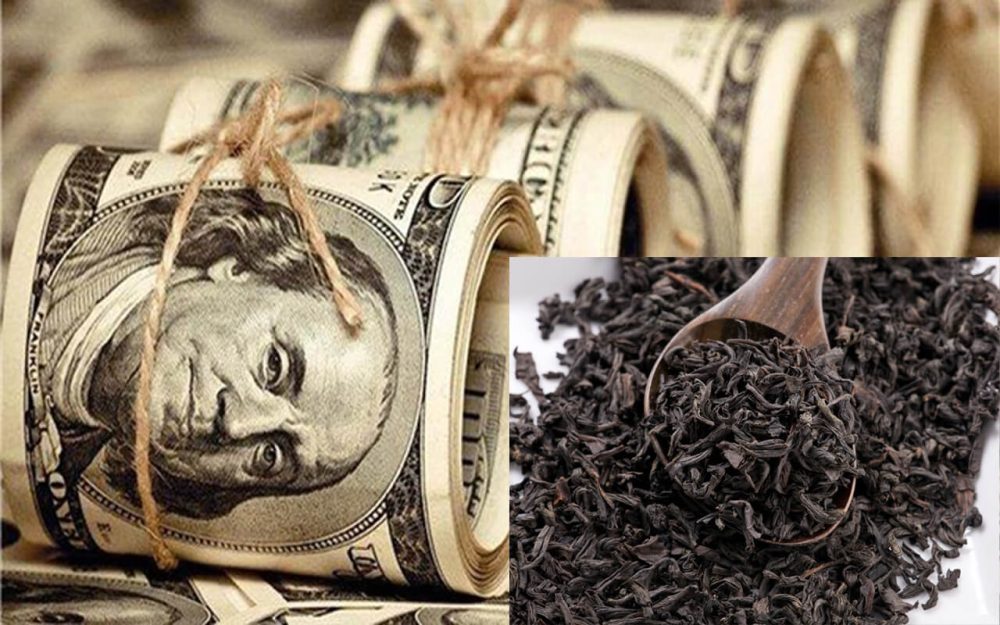 توضیحات رئیس شورای اطلاع‌رسانی دولت در مورد ۶۰ مدیر برکنار شده/ برای همه این موارد در قوه قضائیه تشکیل پرونده نشده است/ بزرگ‌ترین تنبیه برای برخی، برکناری از کارشان است