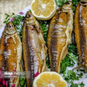 رشت؛ شهر مبتکر و خلاق غذا