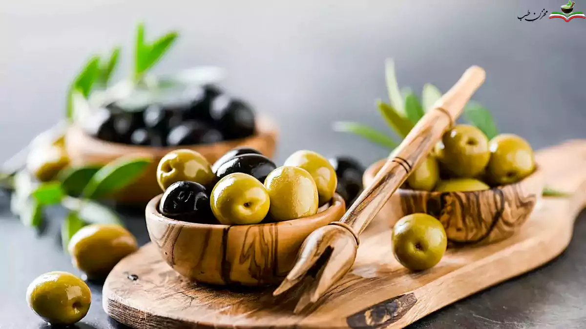 مجموعه بین المللی زیتون در گیلان راه اندازی می شود