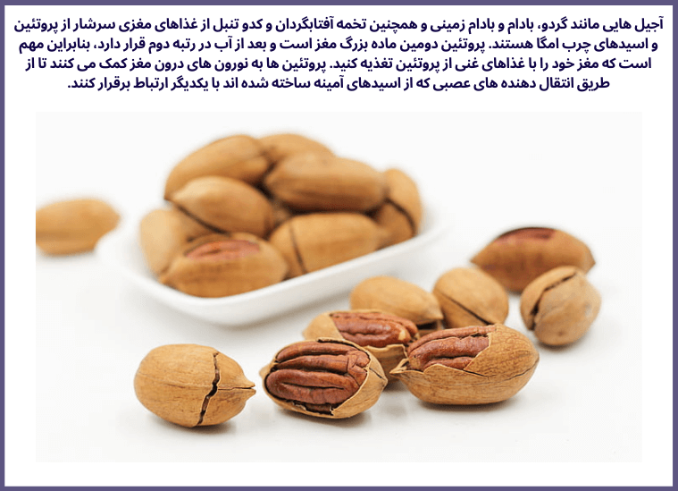 10گروه از مواد غذایی مقوی جهت تقویت مغز و حافظه انسان