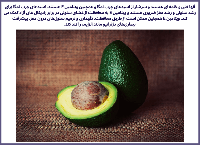 10گروه از مواد غذایی مقوی جهت تقویت مغز و حافظه انسان