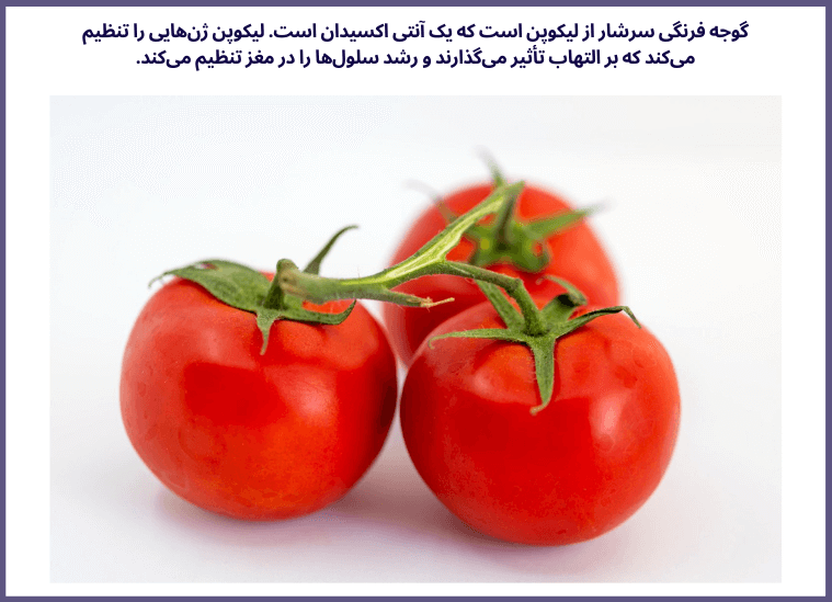 10گروه از مواد غذایی مقوی جهت تقویت مغز و حافظه انسان