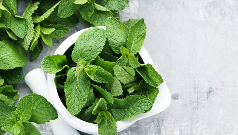 با این معجون شگفت انگیز ۱۰ سال بیشتر عمر کنید