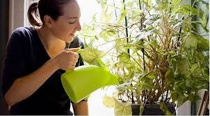 بهترین زمان انجام فعالیت‌های روزمره زندگی از نظر متخصصان چه موقعی است؟