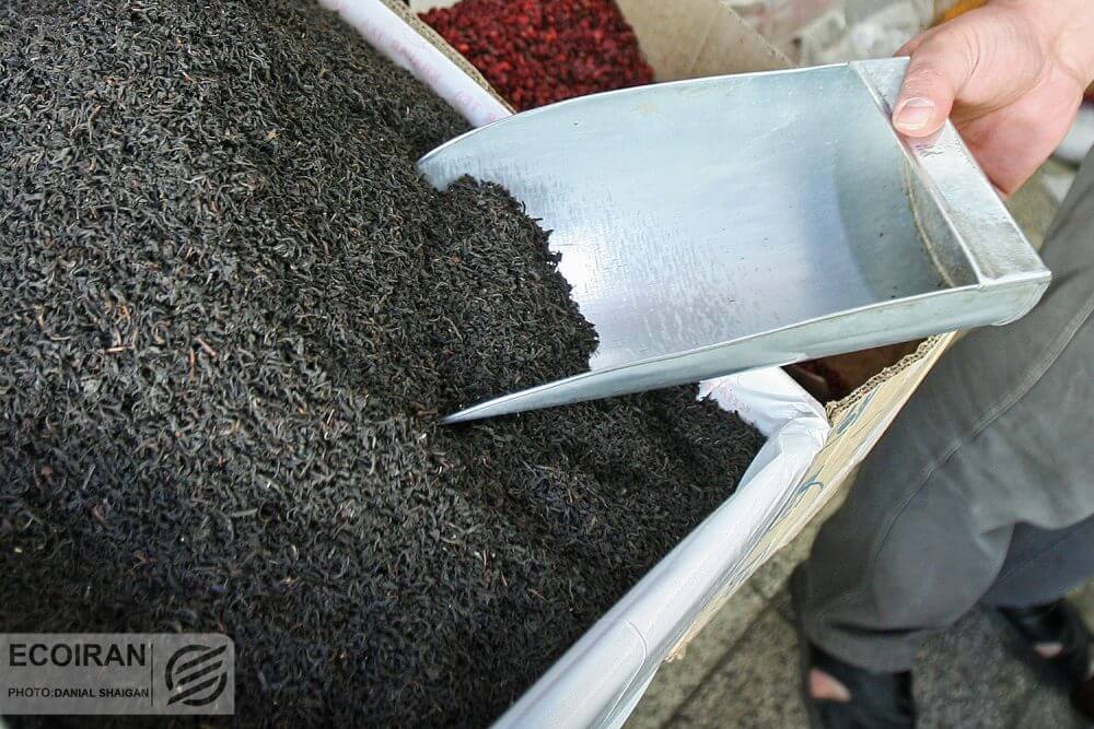 حدود ۱۲ هزار تُن چای ایرانی سالیانه صادر می‌شود