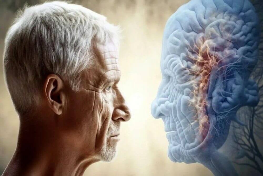 تحقیقات جدید نشان می‌دهد پیری مغز چگونه موجب افزایش خطر بیماری‌های عصبی می‌شود