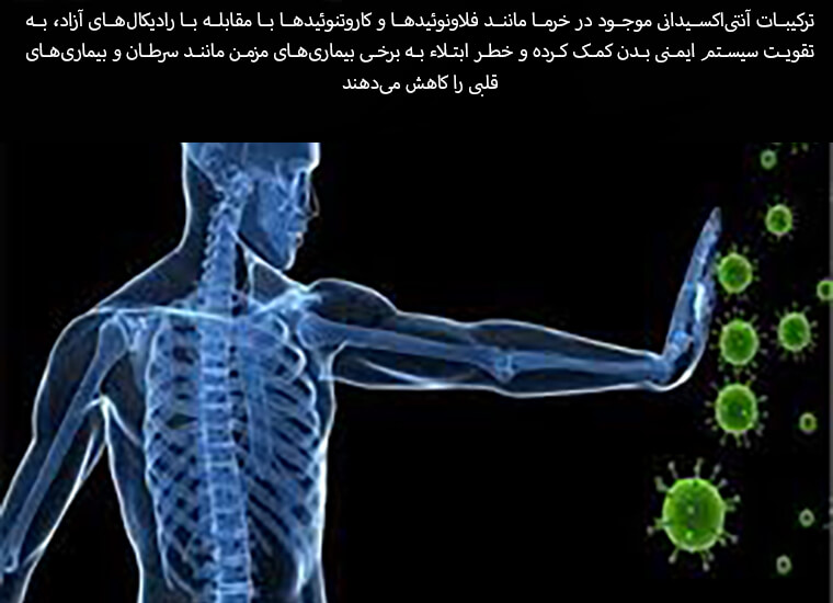 معجزه غذایی خرما