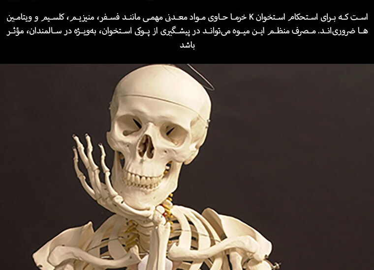 معجزه غذایی خرما