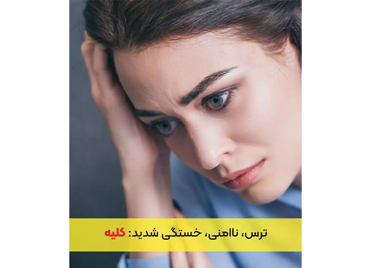 احساسات روی چه اندامهایی تاثیر می گذارند