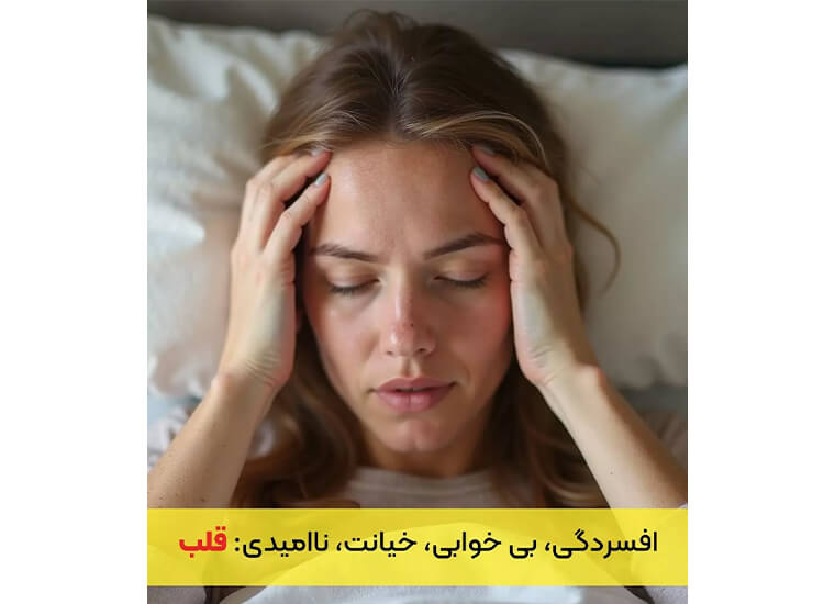 احساسات روی چه اندامهایی تاثیر می گذارند