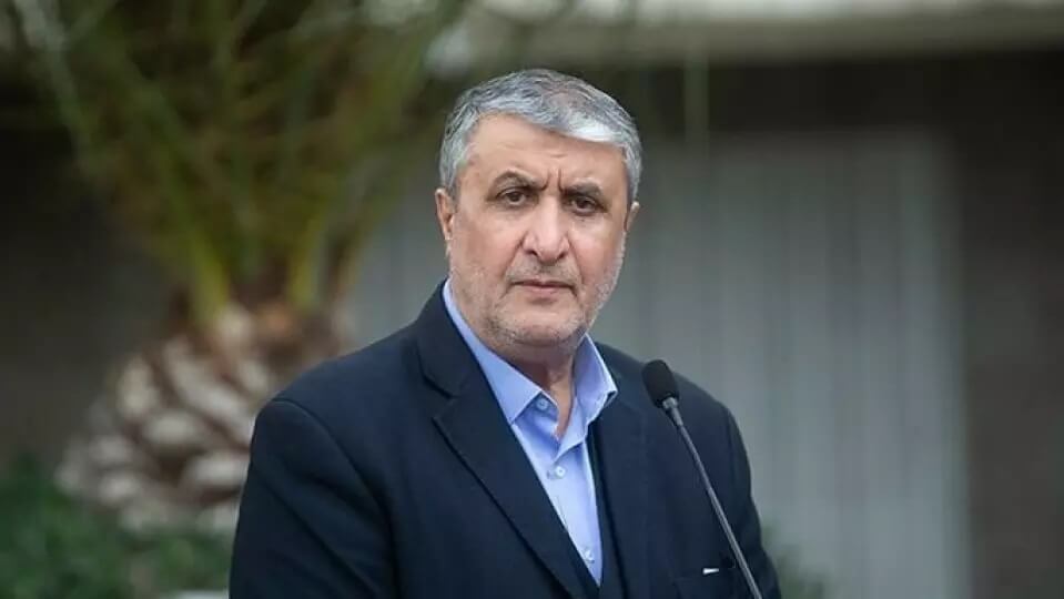 رئیس سازمان انرژی اتمی: ۲ بازرس آژانس با مجوز دبیرخانه شورای عالی امنیت ملی به ایران سفر کردند