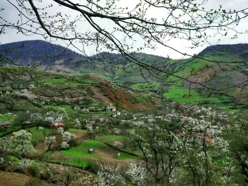 روستای ارده کجاست؟ "آرامش مطلق و دیگر هیچ"
